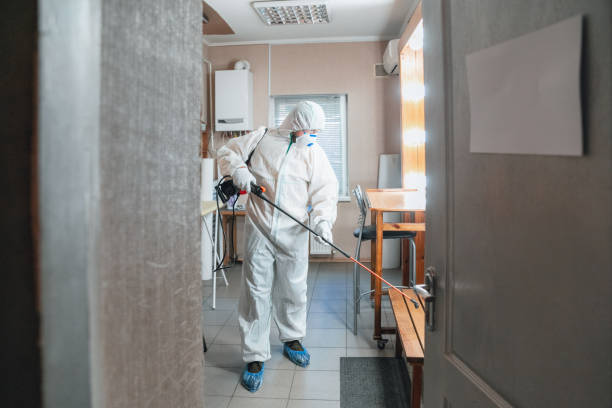 Trusted South Park, WY Mold Inspection, Removal & Remediation Experts